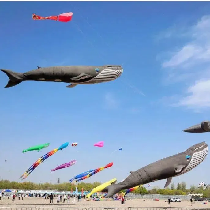 15支国内外风筝代表队齐聚北京园博园“斗鸢”