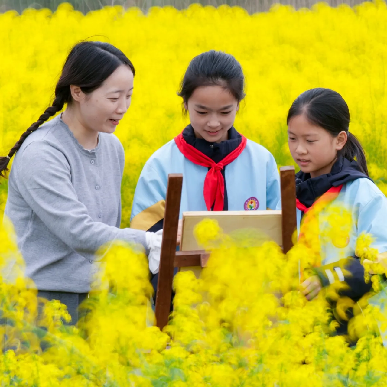 武汉2026年分配生政策出炉：比例为50%不变，择校生不享受分配生资格