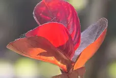 http://oss.cjn.cn/images/20260504/17779056751395c77e7e6-96ee-4e51-a040-91309516dd3a.jpg