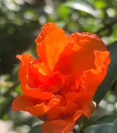 http://oss.cjn.cn/images/20260504/1777906591791a763cf6d-313d-47f9-9d22-23e865e6acf1.jpg