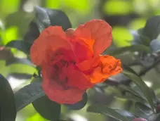 http://oss.cjn.cn/images/20260504/1777906631094425d12d4-d6da-4791-bf25-1d5a9f4bba23.jpg