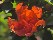 http://oss.cjn.cn/images/20260504/1777906660824f531e058-8855-4f32-b4ce-6edd78bcf0bb.jpg