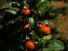 http://oss.cjn.cn/images/20260504/1777906985592583690b3-26b8-4553-a9ca-3cf70ddddabc.jpg