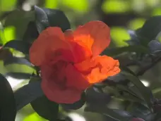 http://oss.cjn.cn/images/20260504/17779070402518a4c6b5b-00e5-40b7-a791-fc0af9c10e90.jpg