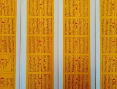 http://oss.cjn.cn/images/20260505/1777936896691f63473b2-1142-4d70-9780-a0f39806cead.jpg