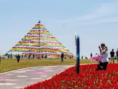 http://oss.cjn.cn/images/20260505/17779472595848622f64a-68bf-4ef8-b1a6-2ec9dccfbc54.jpg