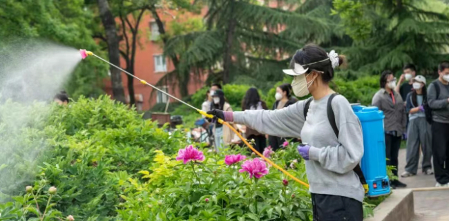 大学劳动课.jpg