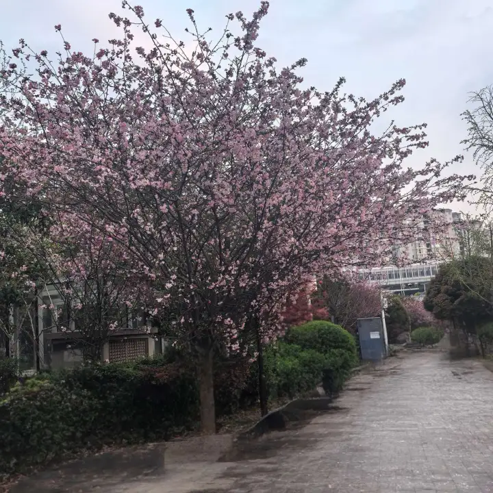 发布了一篇微头条