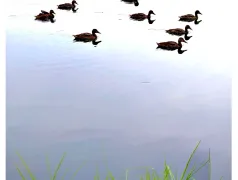 http://oss.cjn.cn/images/20260510/1778426783528d86d07d7-d101-4506-9c23-f2e5e30f096e.jpg