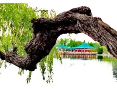 http://oss.cjn.cn/images/20260510/177842679532838e44b63-c3da-4139-84da-7495f42c9db4.jpg