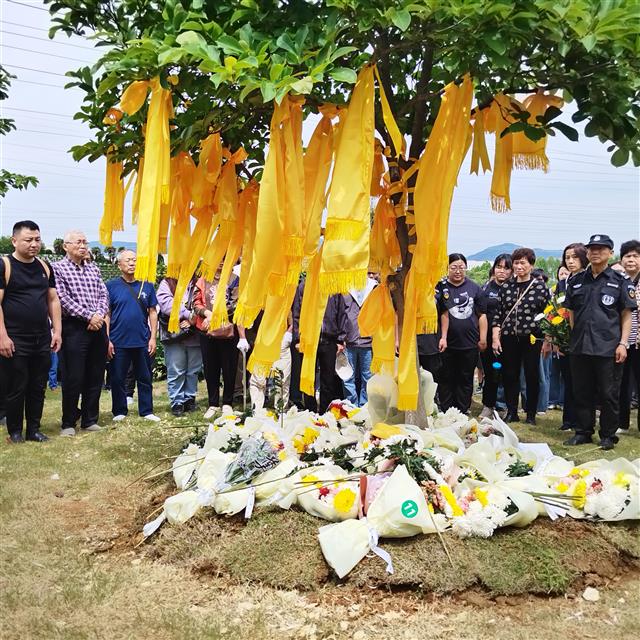 第九届节地生态集体树葬仪式举行 36位逝者长眠青山绿荫-长江网